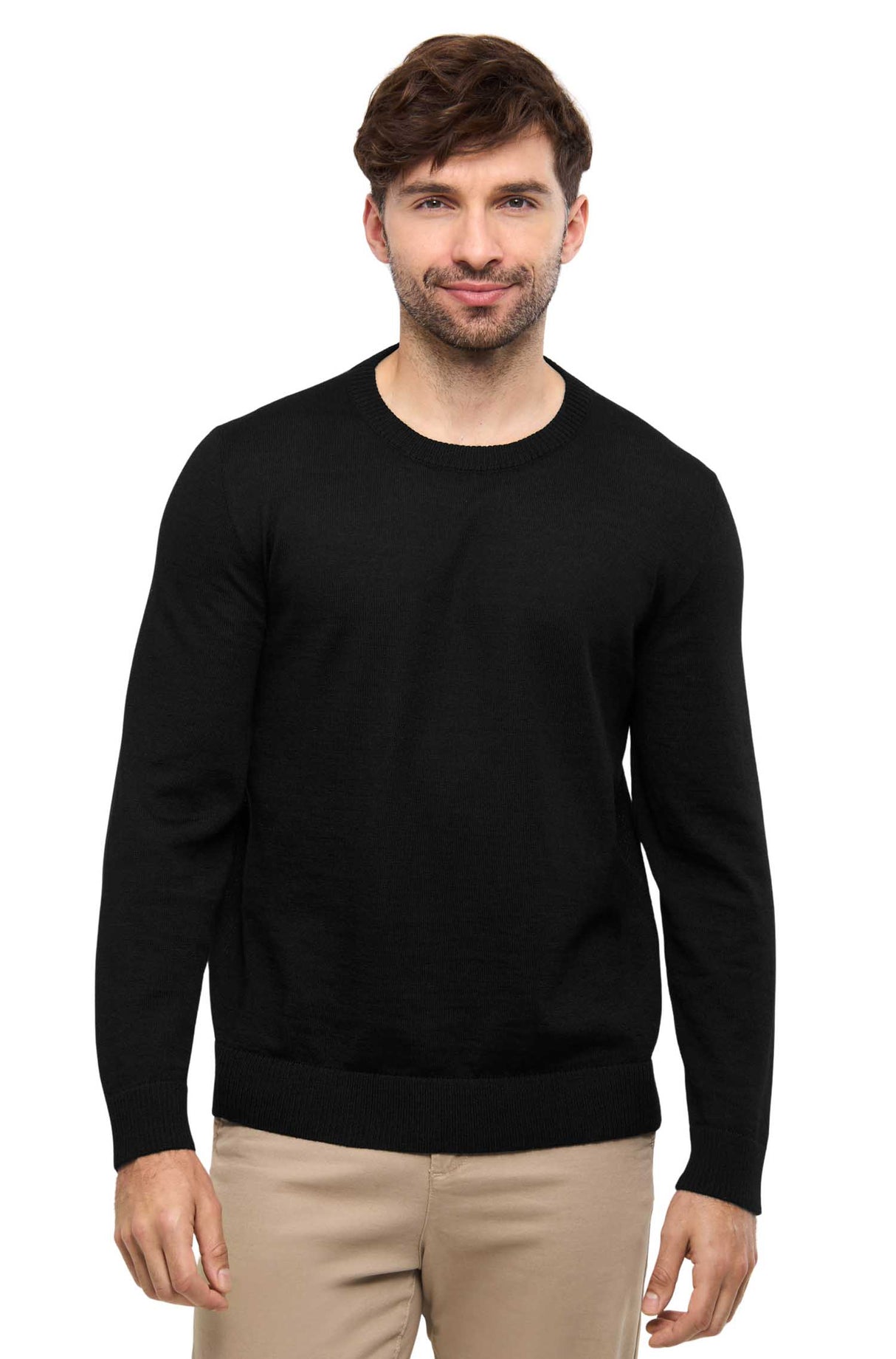 Herren Pullover APUSENTIAL aus 100% Alpaka