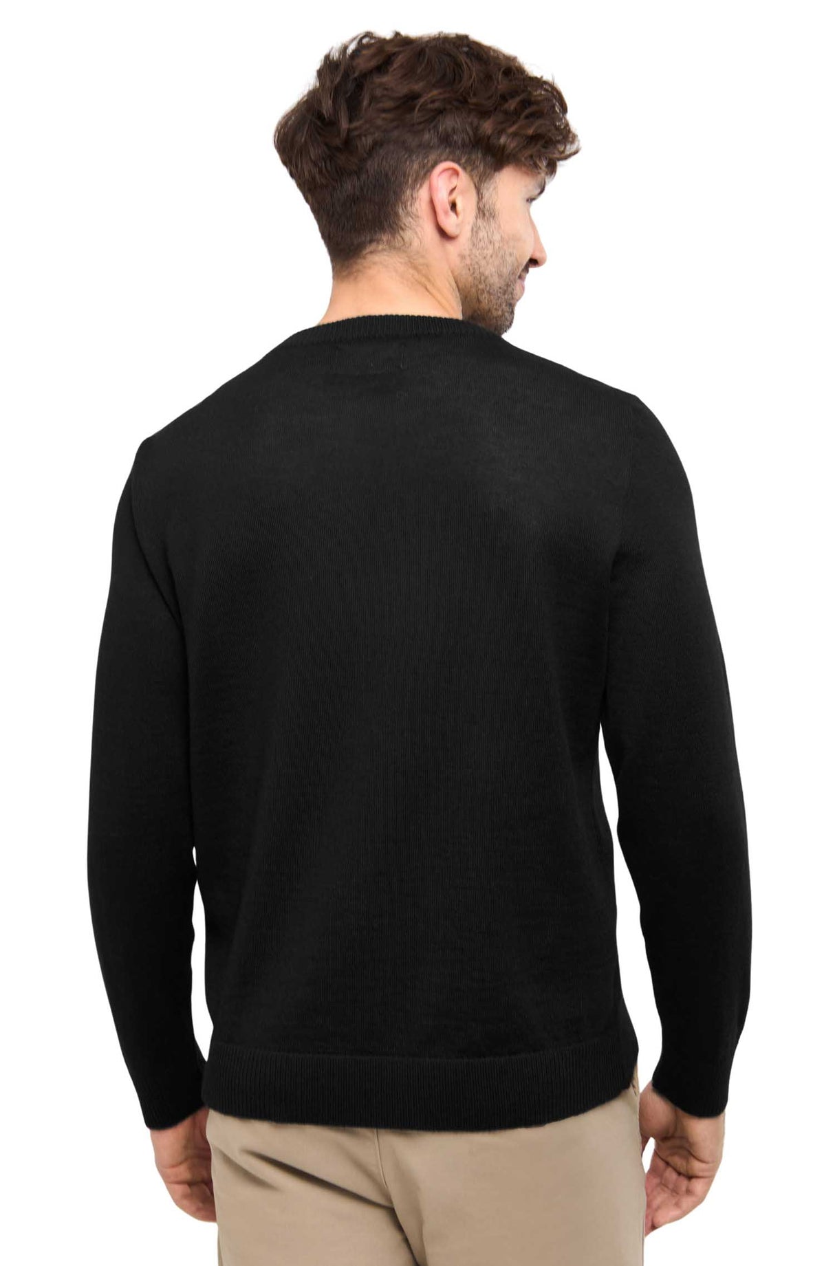 Herren Pullover APUSENTIAL aus 100% Alpaka