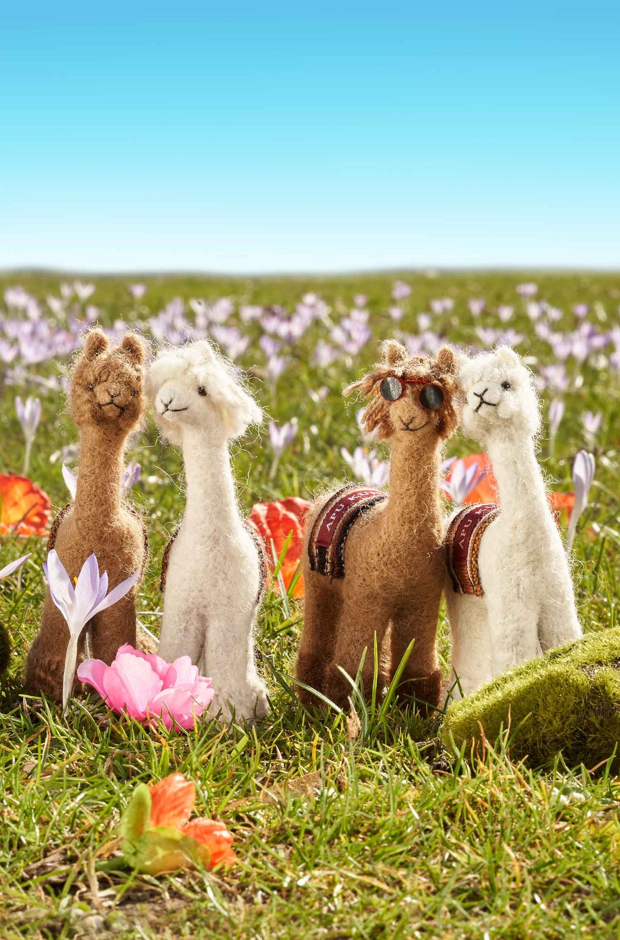 Stofftier PUKI (15cm) mit Webschal aus 100% Alpaka