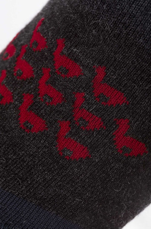 SNEAKER Socken mit MOTIV - 70% Alpaka von Apu Kuntur
