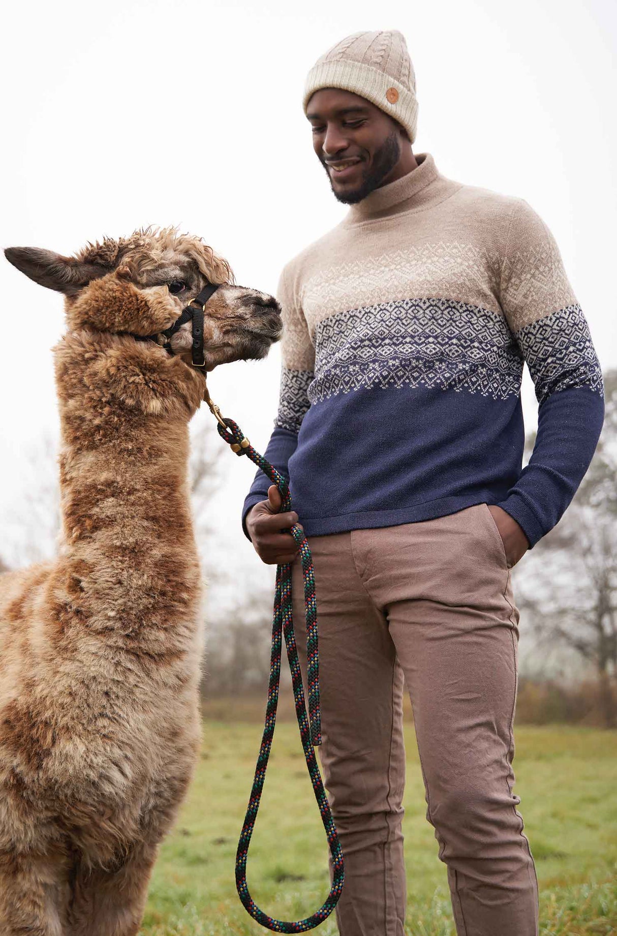 Rollkragen Pullover CARLOS aus 100% Alpaka von Apu Kuntur