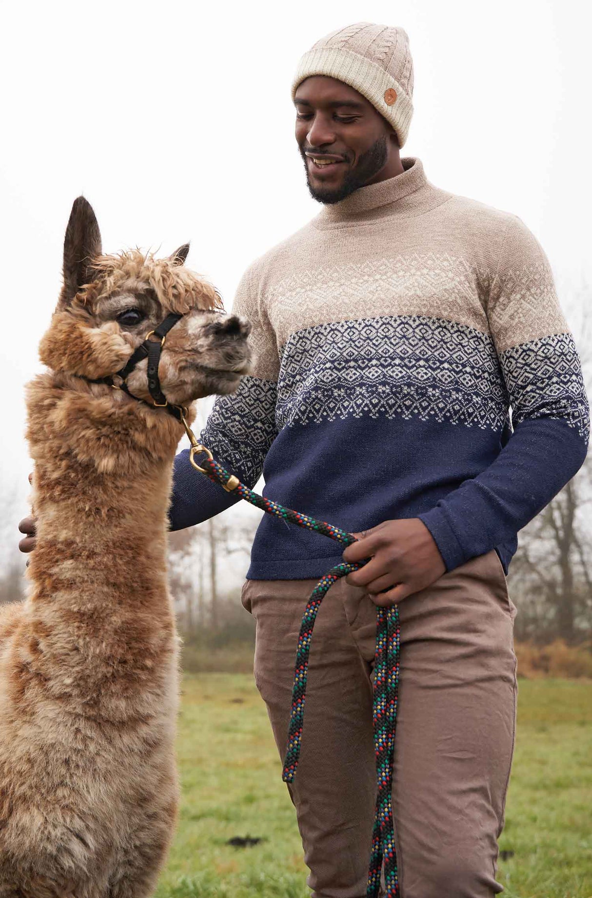 Rollkragen Pullover CARLOS aus 100% Alpaka von Apu Kuntur
